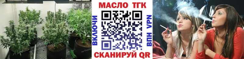 ТГК THC oil цены Сысерть