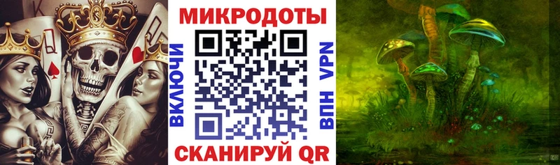 OMG ONION  Сысерть  Псилоцибиновые грибы Cubensis 